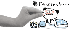 deco