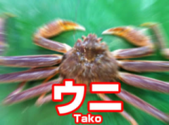 deco