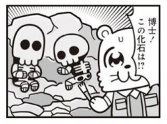 deco