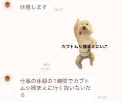 deco