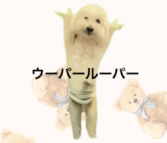 deco