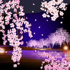 deco