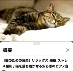 deco