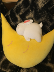 deco