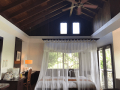 deco