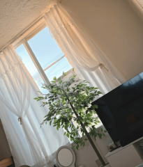 deco