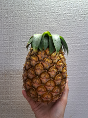 deco