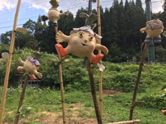 deco