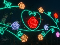 deco