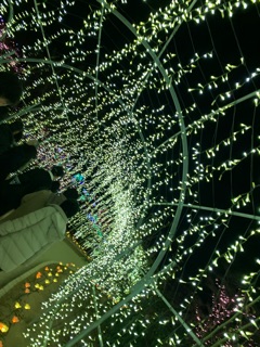 deco