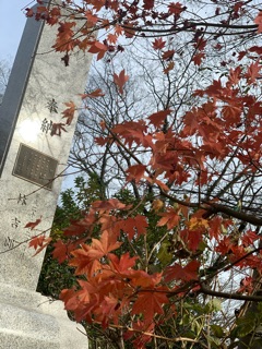 deco