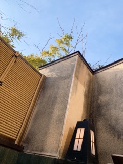 deco