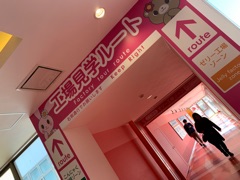 deco