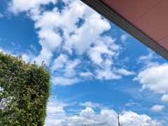 deco