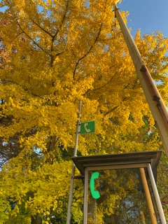 deco