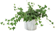 deco