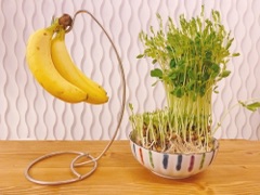 deco