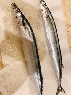 deco
