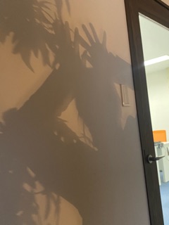deco