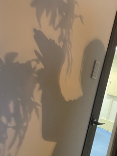 deco