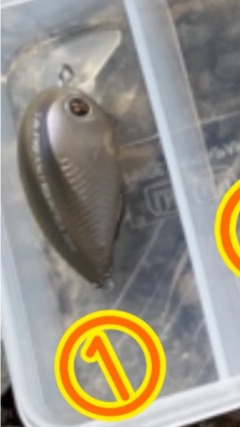 deco