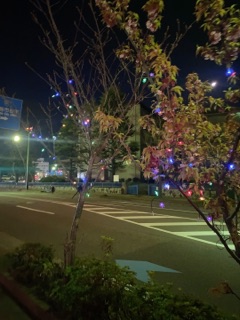deco