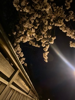 deco