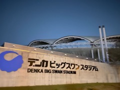 deco