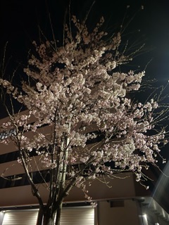 deco