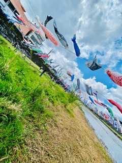 deco