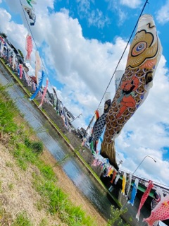deco