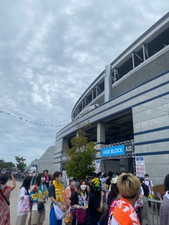 deco