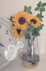 deco