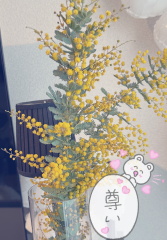 deco