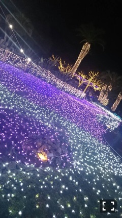 deco