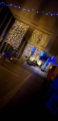 deco