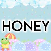 上越デリヘル HONEY