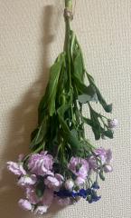deco