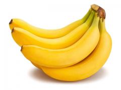 deco