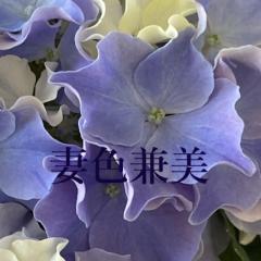 deco