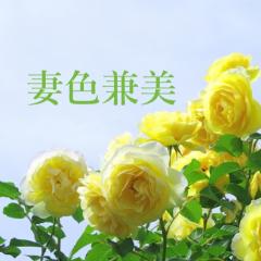 deco