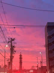 deco