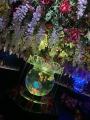 deco