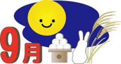 deco
