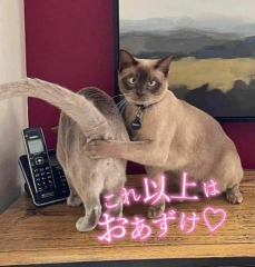 deco