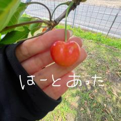deco