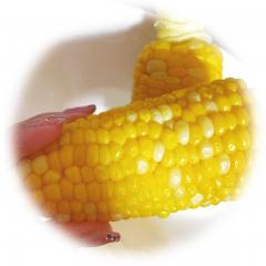 deco