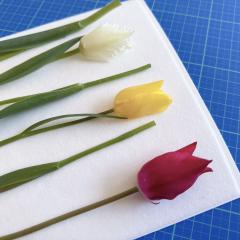 deco
