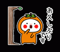 deco