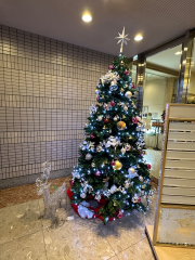 deco
